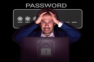 Secure password management software
